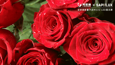 ag尊龙平台·(中国)官方网站
